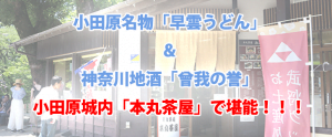 小田原城 本丸茶屋