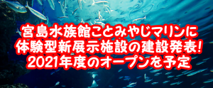 宮島水族館（みやじマリン）体験型展示施設の建設予定を発表！2021年度のオープンを目指す！